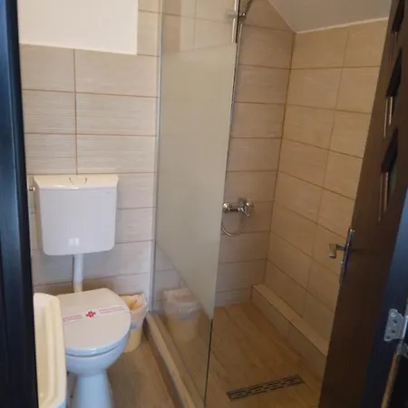 Pensiunea Casa Ghica Guest house