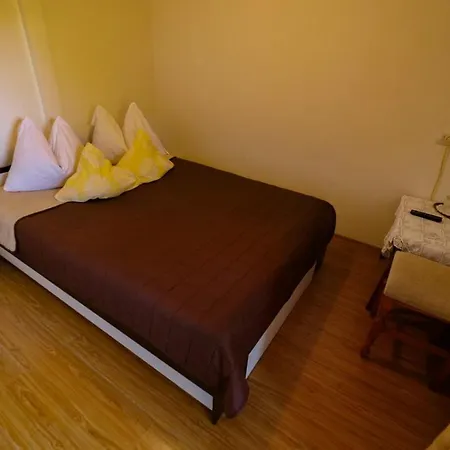 Guest house Pensiunea Casa Ghica 3*